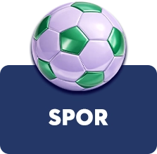 Spor
